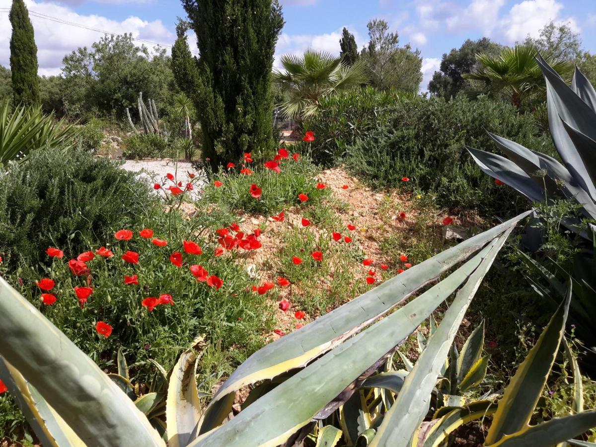 Finca Alqueria Fosca Campos  Dış mekan fotoğraf