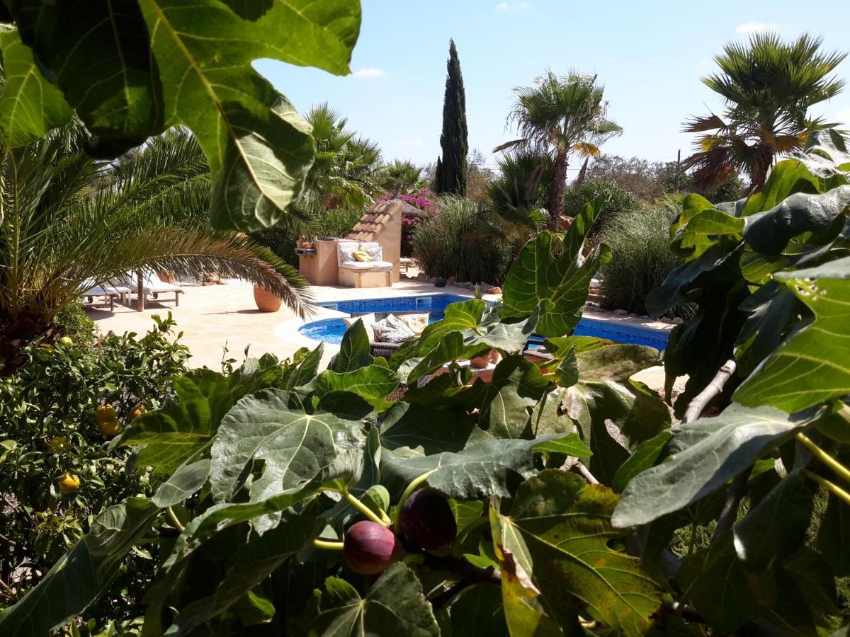 Finca Alqueria Fosca Campos  Dış mekan fotoğraf