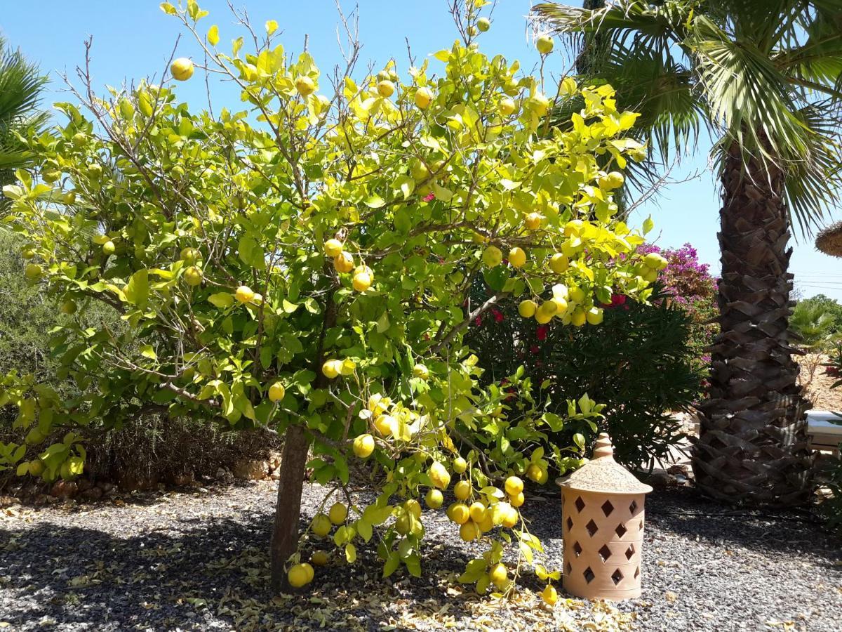 Finca Alqueria Fosca Campos  Dış mekan fotoğraf