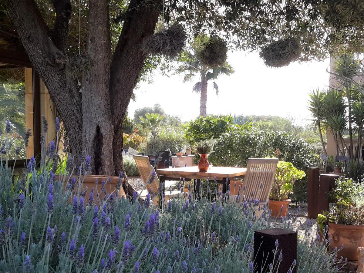 Finca Alqueria Fosca Campos  Dış mekan fotoğraf