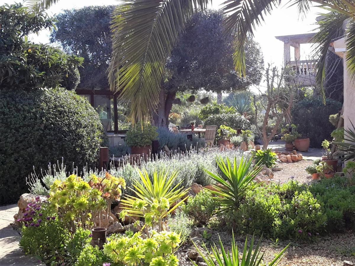 Finca Alqueria Fosca Campos  Dış mekan fotoğraf
