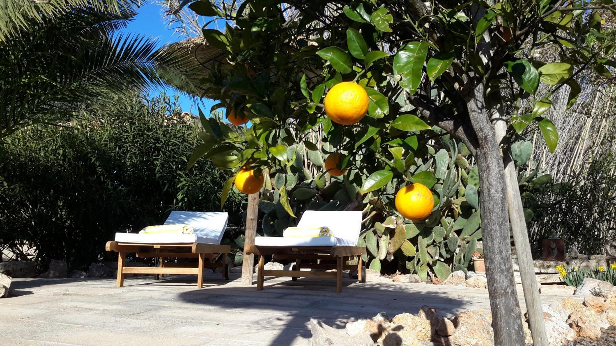 Finca Alqueria Fosca Campos  Dış mekan fotoğraf