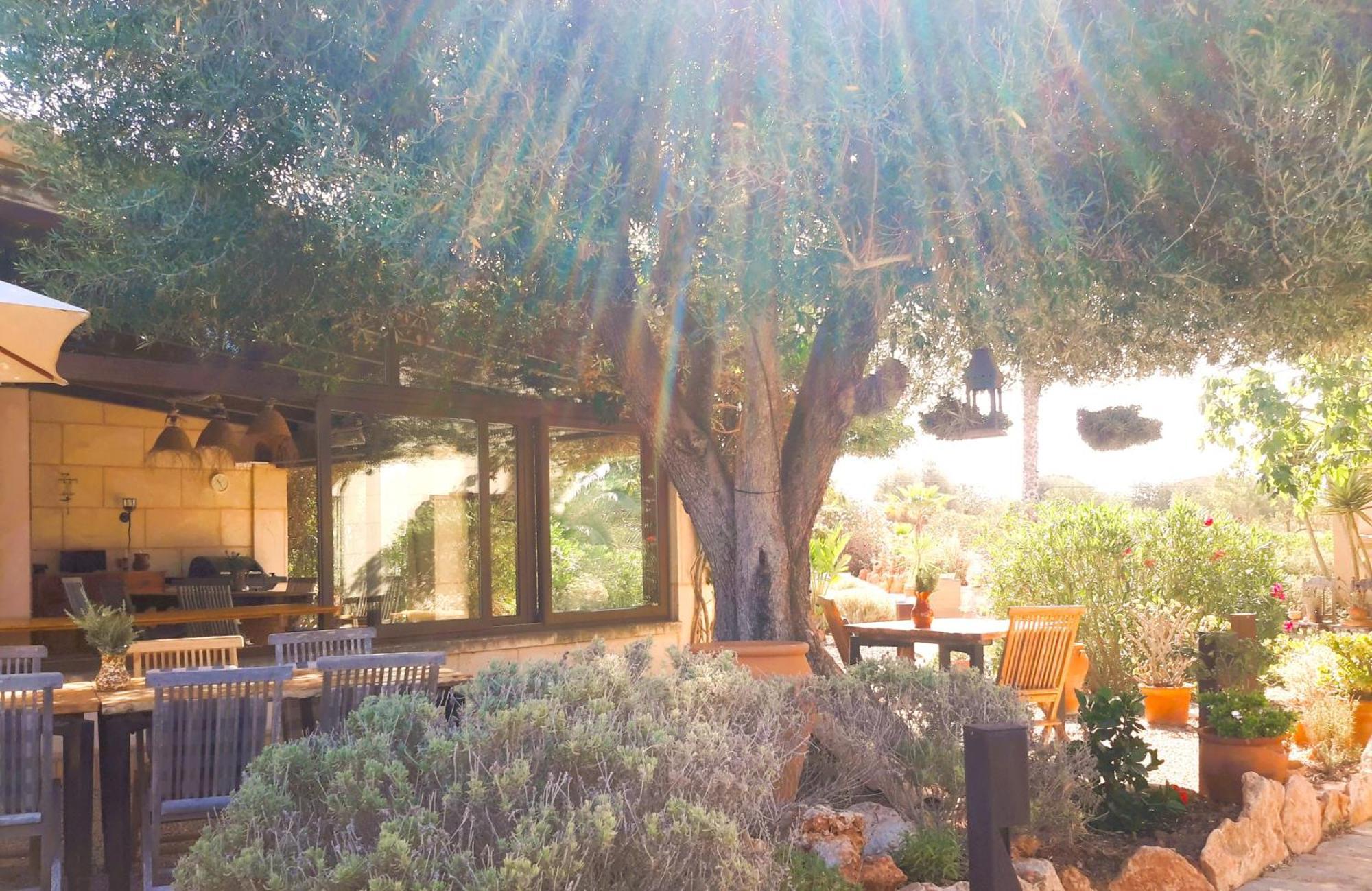 Finca Alqueria Fosca Campos  Dış mekan fotoğraf